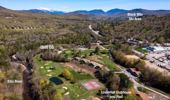 46 Linderhof Golf Course Rd D5, Bartlett, NH 03838