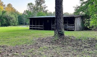11317 NW 199TH Ave, Alachua, FL 32615
