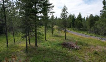 Nka N SYLVAN ROAD ROAD, Athol, ID 83801