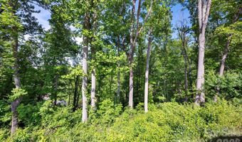 17 Tulip Poplar Trl 30, Asheville, NC 28804