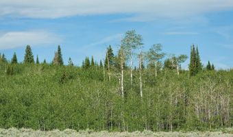 TRACT 14 SPRING HOLLOW ROAD, Daniel, WY 83115