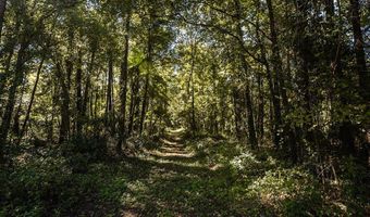 State Rd 121, Alachua, FL 32615