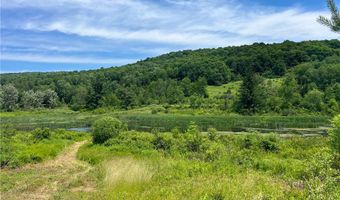 0 Woodland Hills Rd, Andes, NY 13731