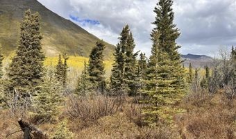 B005 Packsaddle Road, Chickaloon, AK 99674