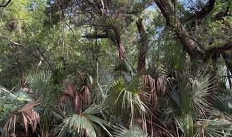 207 Muscadine Wynd, Bald Head Island, NC 28461