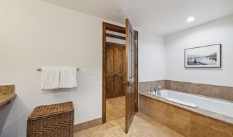 415 E Dean St Unit 45 Week 35, Aspen, CO 81611
