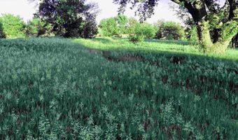 480 S Ave Ave, Alcester, SD 57001