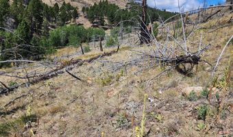 Nhn Plaindealer Lode Depot Hill Road, Boulder, MT 59632