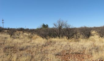16771 W Arivaca Rd 194, Arivaca, AZ 85601