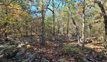 2 TBD Henderson Mill Rd, Bates, AR 72958