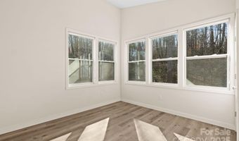 24 Lower Grassy Branch Rd, Asheville, NC 28805