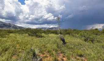 40 AC W Redhead Rd, Cochise, AZ 85606