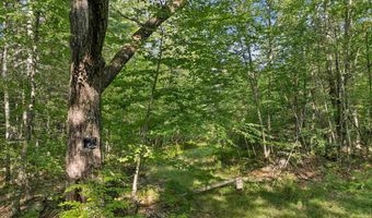 Chamberlain Road lot 11, Alton, NH 03809