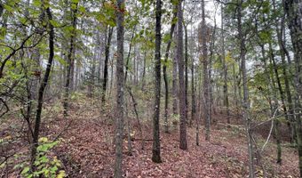 141 144 COUNTY RD 219, Arley, AL 35541