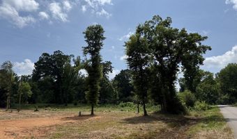0 County Road 42, Akron, AL 35474