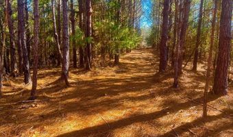 1919 Arthur Dr NW, Brookhaven, MS 39601