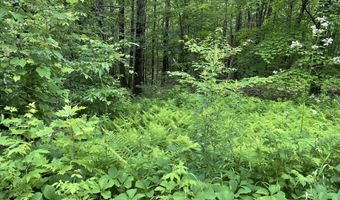 956 N Barnstead Rd, Barnstead, NH 03225