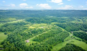 1570 Carl Doty Rd, Afton, TN 37616