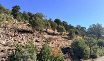 Stable Road 3, Alto, NM 88312
