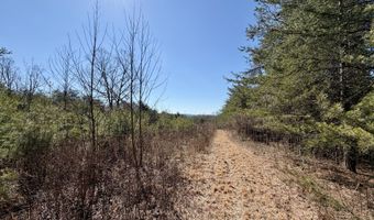 2 Shain Dr, Bardstown, KY 40004