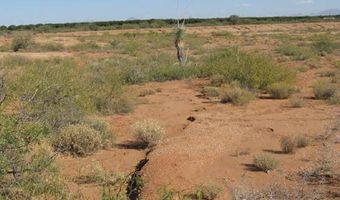 13 Ac Apache Pass Rd, Bowie, AZ 85605