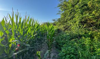 625 Th Ave, Albia, IA 52531
