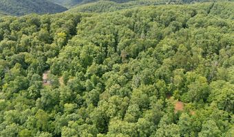 2401 Bell Point Rd, Beattyville, KY 41311