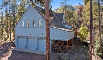 12 County Rd 2074, Alpine, AZ 85920