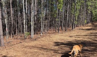 MOUNTAIN CUT RD lot C, Appomattox, VA 24522