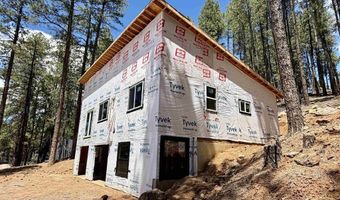 144 Snowbird Ct, Bayfield, CO 81122