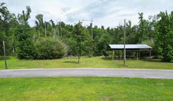 20747 NW Chipola Hts, Altha, FL 32421