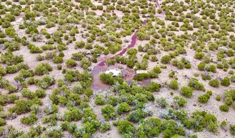 37 Co Rd N8174 10.1 Acres, Concho, AZ 85924