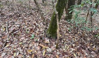 1365 Mickle Smith Trl, Bogue Chitto, MS 39629