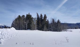 445 TARGHEE TOWNE Rd, Alta, WY 83414