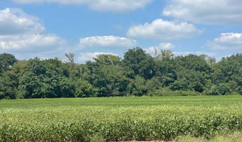1338 Beulah Rd, Beulah, MS 38726