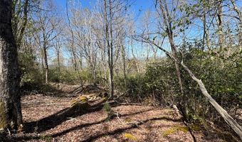 62 Acres Buckeye Ridge Rd, Beech Mountain, NC 28604