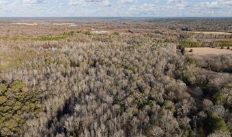 Brush Creek Dr, Akron, AL 35441