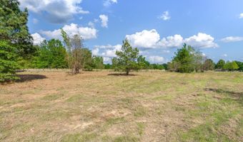 Hwy 69, Alba, TX 75410