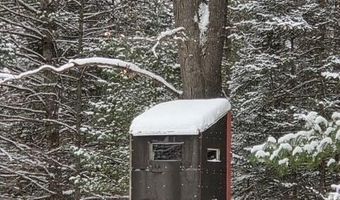 9606 Munger Rd, Afton, MI 49705