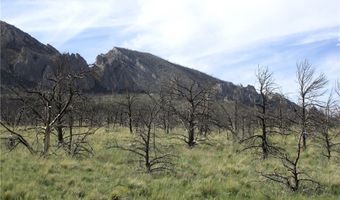 Ranger Way lot Bvr 942-3, Belfry, MT 59008