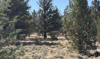 Co. Rd lot 75, Alturas, CA 96101