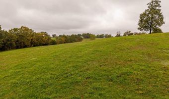 363 County Road 234, Alton, MO 65606