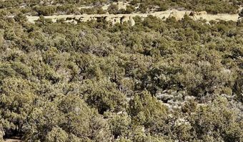 CR 2550 Road, Aztec, NM 87410