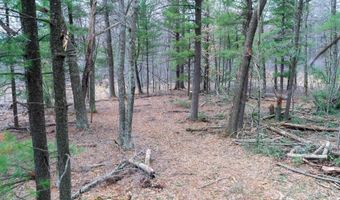 255 45 Ac Dover Dr, Adams, WI 53910