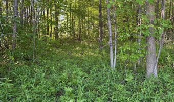 COUNTY ROAD Z lot 4, Aniwa, WI 54408