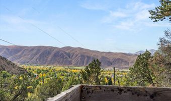 635 Cedar Dr, Basalt, CO 81621