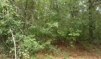 5001 Al Gillman Rd, Baker, FL 32531