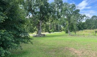 4180 McConnell Bridge Rd, Adel, GA 31620