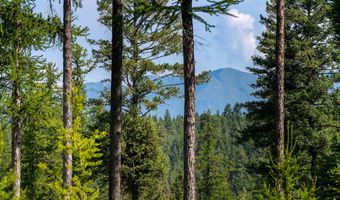 205 Trading Post Trl, Bigfork, MT 59911