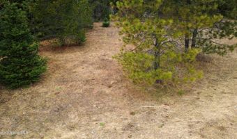 NNA Lightning Creek Rd, Clark Fork, ID 83811